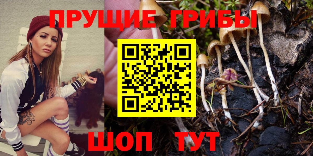 Псилоцибиновые грибы прущие грибы Чехов
